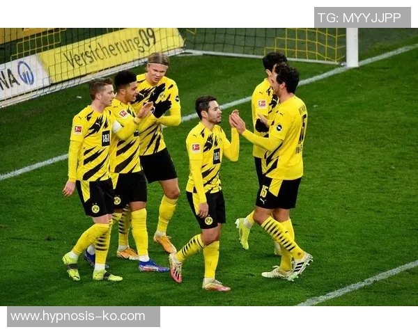 弗赖堡主场稳胜,再度力克不伦瑞克 弗赖堡主场稳胜,再度力克不伦瑞克